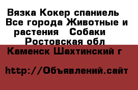 Вязка Кокер спаниель - Все города Животные и растения » Собаки   . Ростовская обл.,Каменск-Шахтинский г.